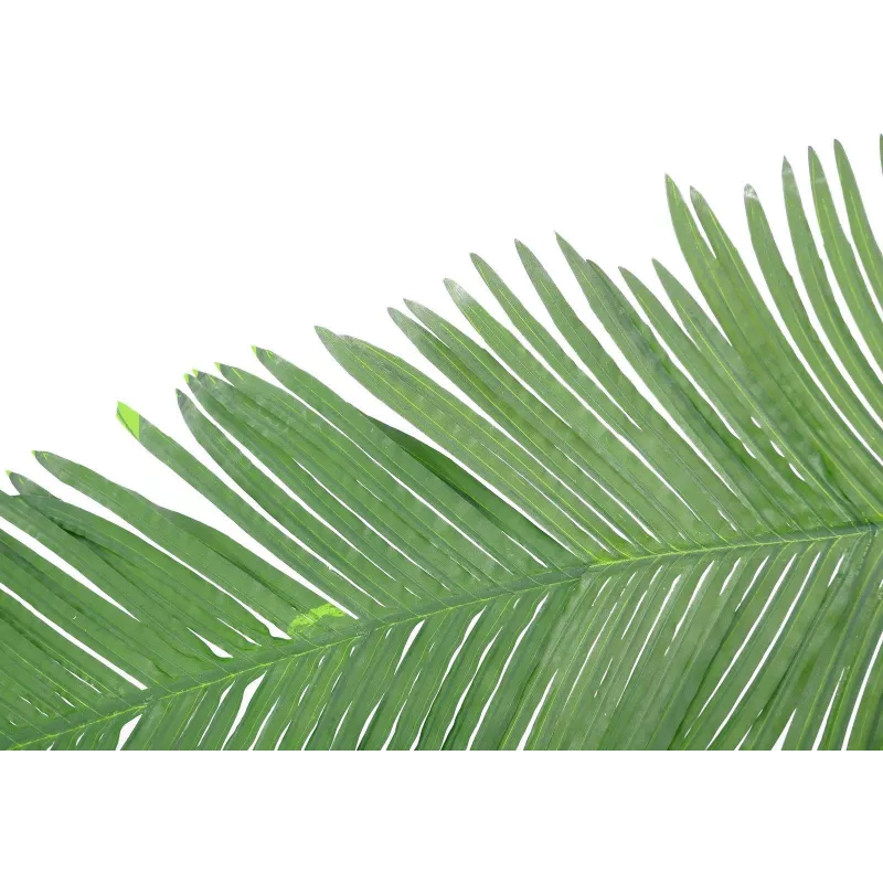 EUROPALMS kunstmatige kokos-koningspalmblad, 180cm 82509847