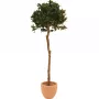 EUROPALMS Kunstmatige laurierbolboom, 180cm 82506946