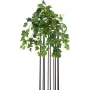 EUROPALMS kunstklimopbusje Premium, 50 cm 82502507
