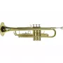 DIMAVERY TP-10 Bb-trompet, goudlak 26503100