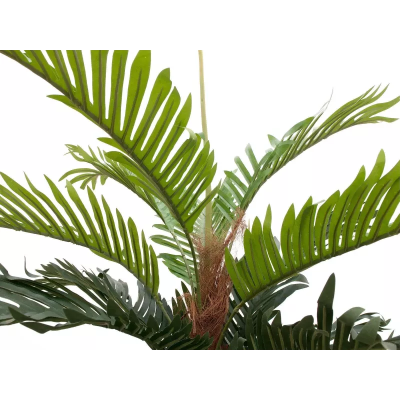 EUROPALMS kunstkentiapalm, 150 cm 82511366