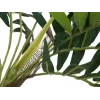 EUROPALMS kunstplant palm, 150cm 82509495