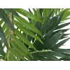 EUROPALMS kunstplant palm, 150cm 82509495