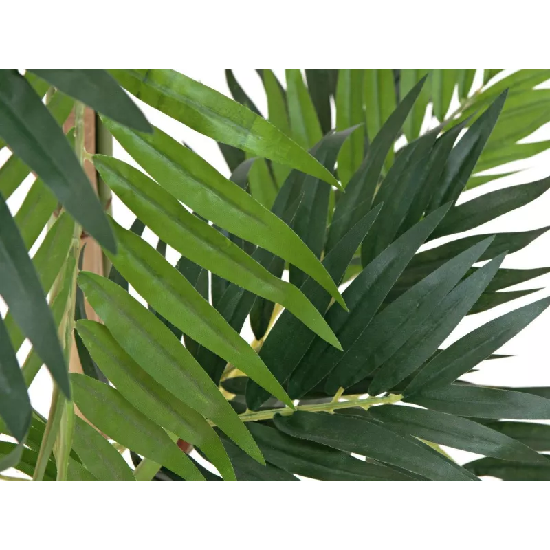EUROPALMS kunstplant palm, 150cm 82509495