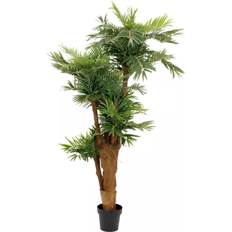 EUROPALMS Areca-palm Kunstplant 170cm 82509408