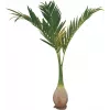 EUROPALMS Phoenix Palm Kunstplant, 240cm 82511353
