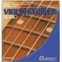 Dimavery Viool D-snaar, stalen kern, nikkel omwonden, medium spanning, kogeluiteinde, 4/4