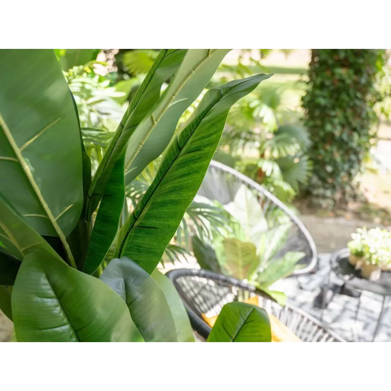 EUROPALMS kunstbananenboom, 210 cm 82509507