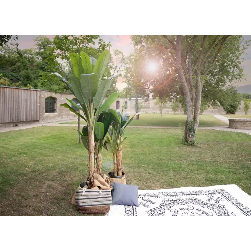 EUROPALMS kunstbananenboom, 210 cm 82509507