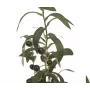 EUROPALMS kunstmatige olijfboom, 68 cm, groene bladeren, zwarte pot 82506421
