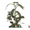 EUROPALMS kunstmatige olijfboom, 68 cm, groene bladeren, zwarte pot 82506421