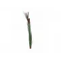 EUROPALMS kunstmatig rietgras met aren, donkergroen, 152 cm 82505854