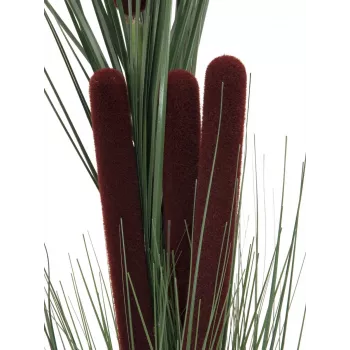 EUROPALMS kunstmatig rietgras met aren, donkergroen, 152 cm 82505854