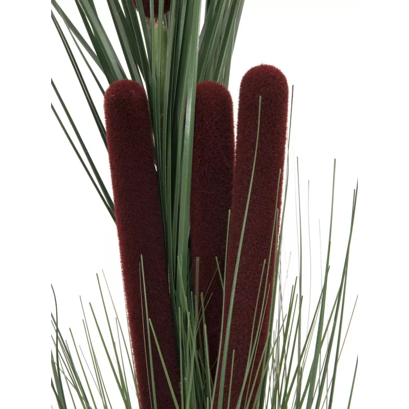 EUROPALMS kunstmatig rietgras met aren, donkergroen, 152 cm 82505854
