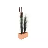 EUROPALMS kunstmatig rietgras met aren, donkergroen, 152 cm 82505854