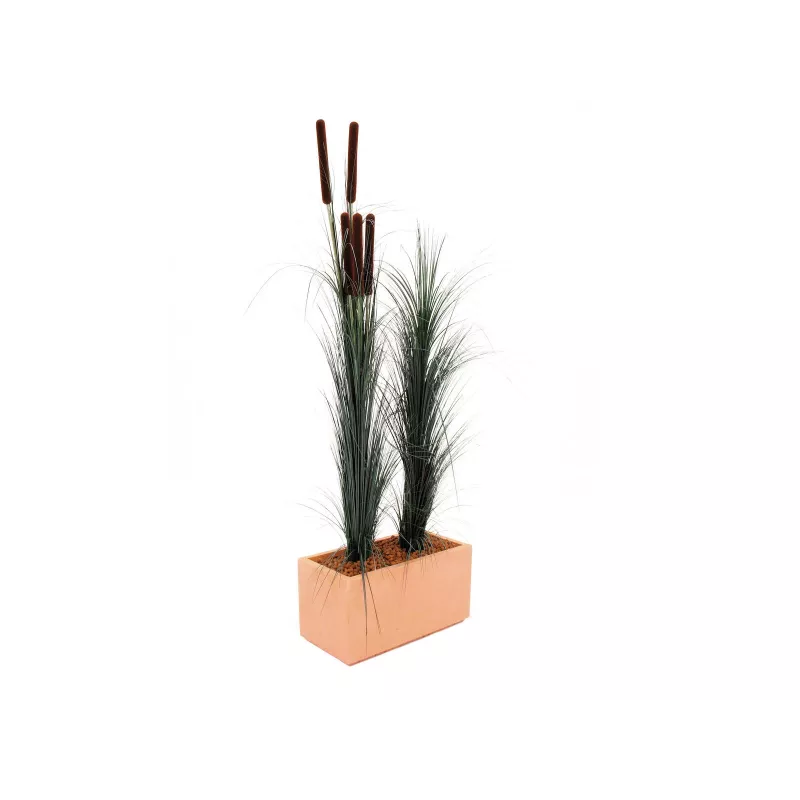 EUROPALMS kunstmatig rietgras met aren, donkergroen, 152 cm 82505854