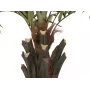 EUROPALMS Kentia-palm deluxe kunstplant 300 cm 82511370