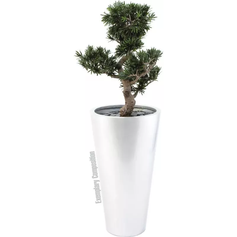 EUROPALMS bonsai Podocarpus kunstplant, 80 cm 82600116