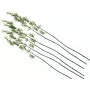 EUROPALMS kunstmatige bamboestok met bladeren, 180cm, 6-pack 82509260