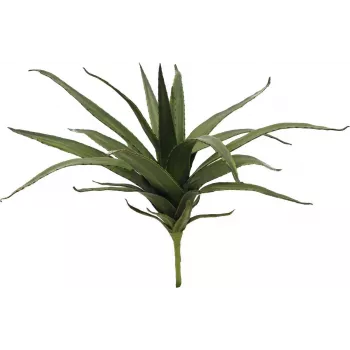 EUROPALMS aloë (EVA), kunstmatig, groen, 50cm (82530570)