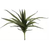 EUROPALMS aloë (EVA), kunstmatig, groen, 50cm (82530570)