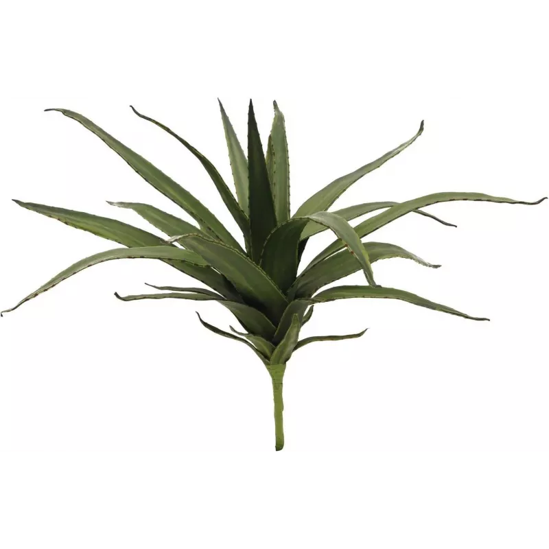 EUROPALMS aloë (EVA), kunstmatig, groen, 50cm (82530570)