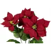 EUROPALMS kunstmatige kerststerstruik, rood, 50cm 83500439
