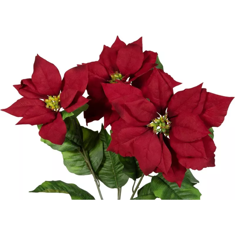 EUROPALMS kunstmatige kerststerstruik, rood, 50cm 83500439