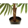 EUROPALMS waaierpalm kunstplant, 88cm, groen, zwarte pot 82509301