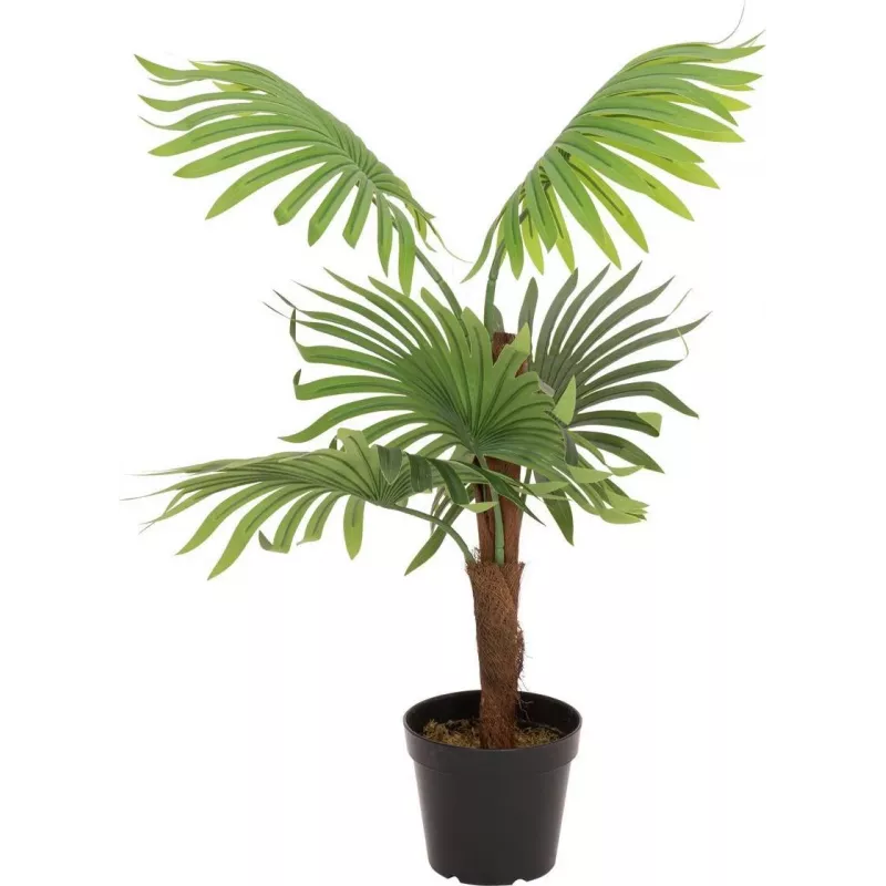 EUROPALMS waaierpalm kunstplant, 88cm, groen, zwarte pot 82509301