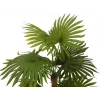 EUROPALMS waaierpalm kunstplant 130cm 82509302