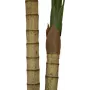 EUROPALMS arecapalm, 2-stammig, kunstplant, 120cm (82509410)