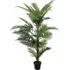 EUROPALMS arecapalm kunstplant, 150cm 82509414