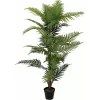 EUROPALMS arecapalm kunstplant, 150cm 82509414