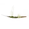 EUROPALMS decoratiebol 3,5 cm, lichtgroen, glanzend, 48 stuks 8350129X