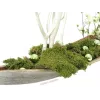 EUROPALMS decoratiebol 3,5 cm, lichtgroen, glanzend, 48 stuks 8350129X