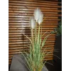 EUROPALMS wildgroei kunstplant, 120 cm 82600123