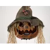EUROPALMS Halloween Cursed Pumpkin Head, 70 cm (83316171)