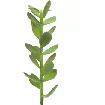 EUROPALMS geluksboom scheut kunstplant, 30cm 82809010