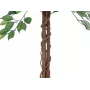 EUROPALMS Ficus Benjamina meerstammige kunstplant, 150cm 82506125
