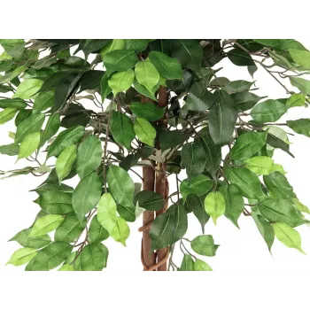 EUROPALMS Ficus Benjamina meerstammige kunstplant, 150cm 82506125