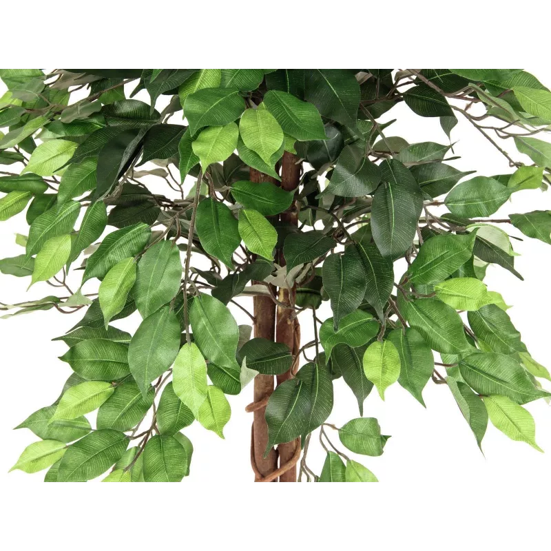 EUROPALMS Ficus Benjamina meerstammige kunstplant, 150cm 82506125