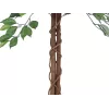 EUROPALMS Ficus Benjamina meerstammige kunstplant, 150cm 82506125