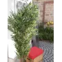 EUROPALMS bamboe meerstammige kunstplant, 180 cm 82509236
