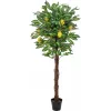 EUROPALMS kunstmatige citroenboom, 150cm 82507815