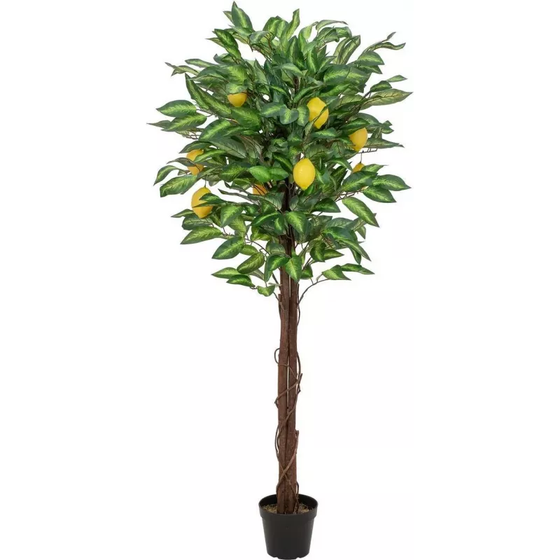 EUROPALMS kunstmatige citroenboom, 150cm 82507815