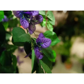 EUROPALMS Bougainvillea lavendel kunstplant 180cm 82507036