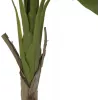 EUROPALMS bananenboom kunstplant, 145cm 82509504
