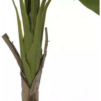 EUROPALMS bananenboom kunstplant, 145cm 82509504