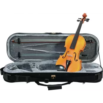 DIMAVERY Viool middenklasse 4/4 (26400520)